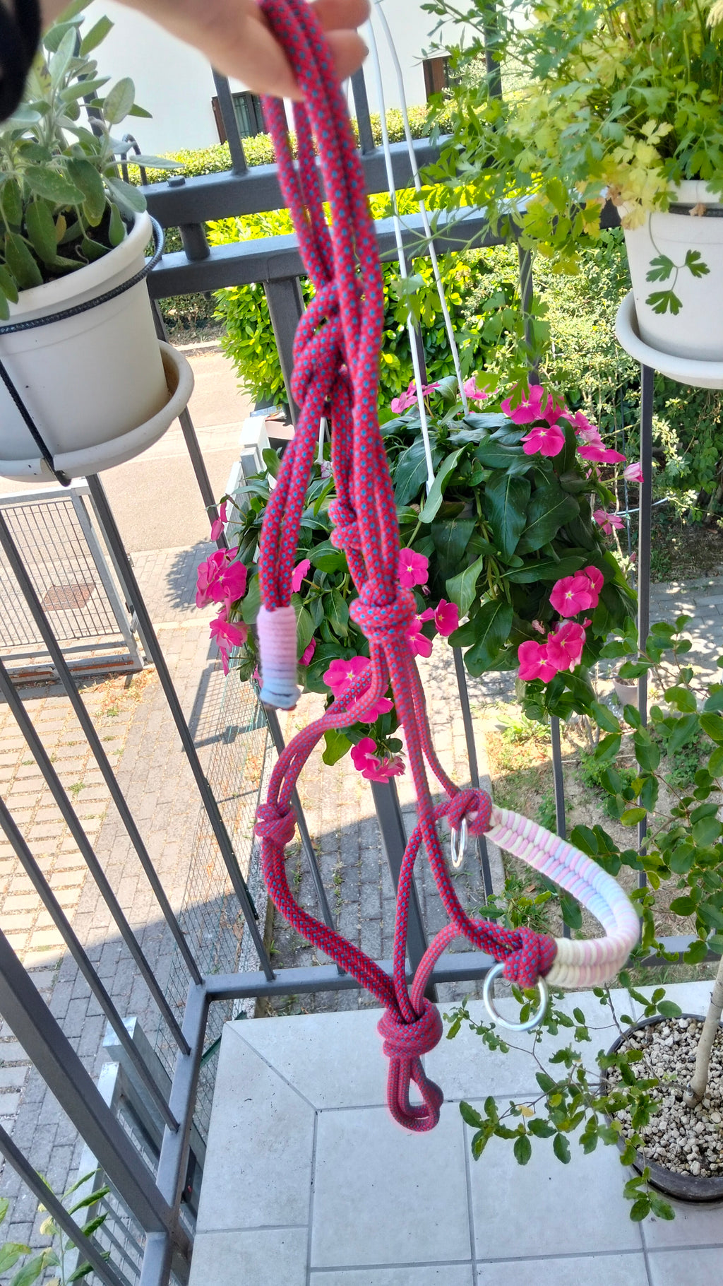 Prodotto disponibile: capezza con nasalina intrecciata Cobra Weave e anelle laterali