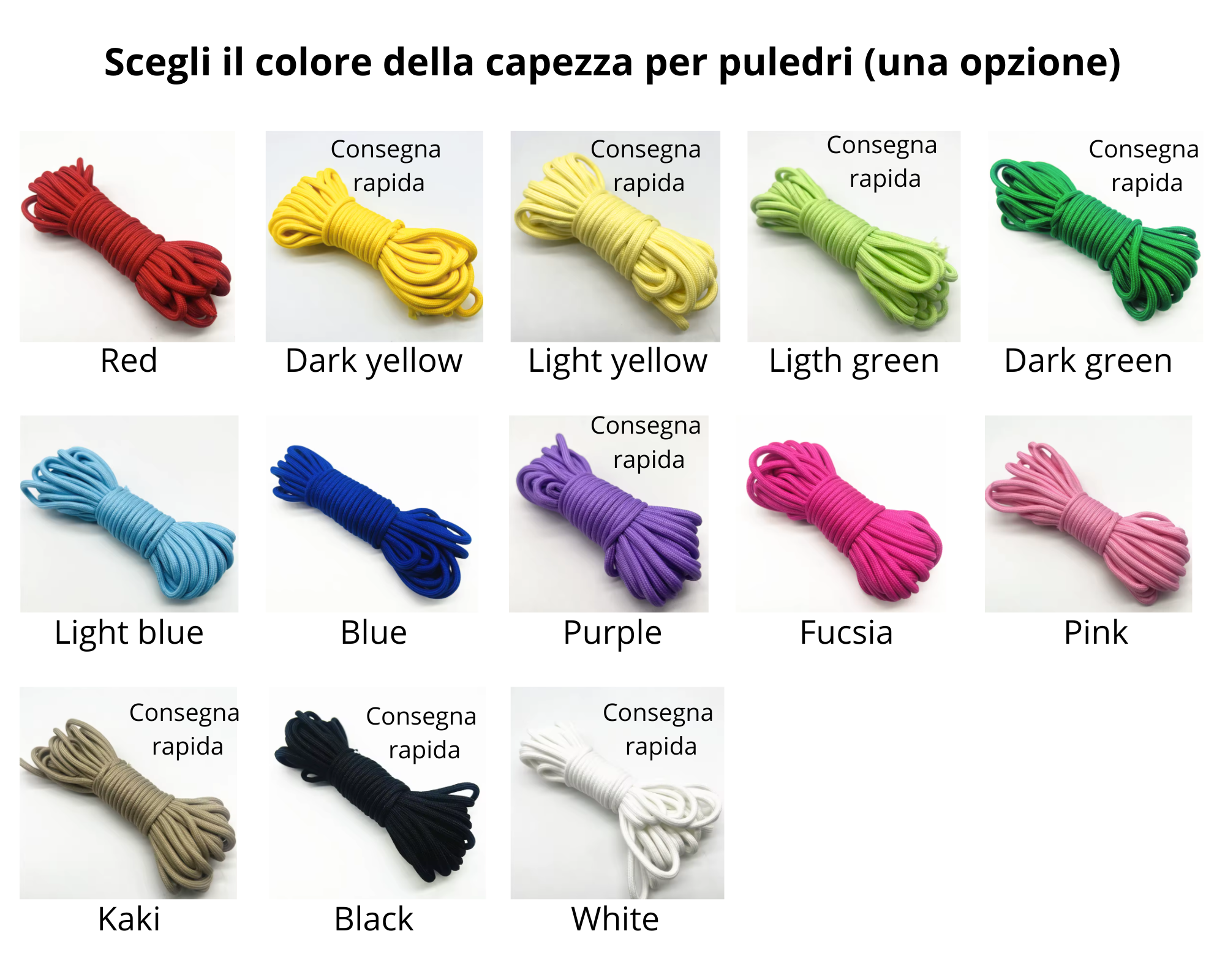 Capezza per puledri
