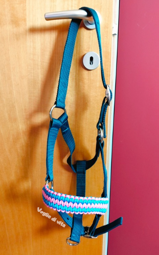 Prodotto disponibile: capezza con nasalina intrecciata Back road Journey, taglia Cob