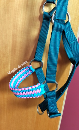 Prodotto disponibile: capezza con nasalina intrecciata Back road Journey, taglia Cob