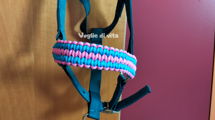 Prodotto disponibile: capezza con nasalina intrecciata Back road Journey, taglia Cob