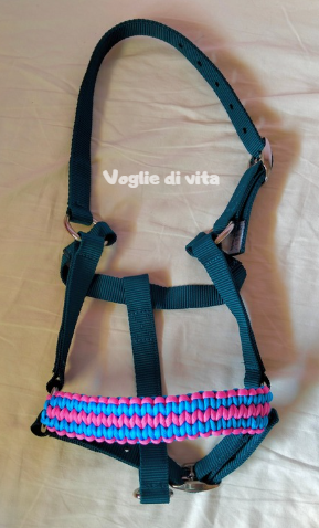 Capezza con nasalina intrecciata Back Road Journey