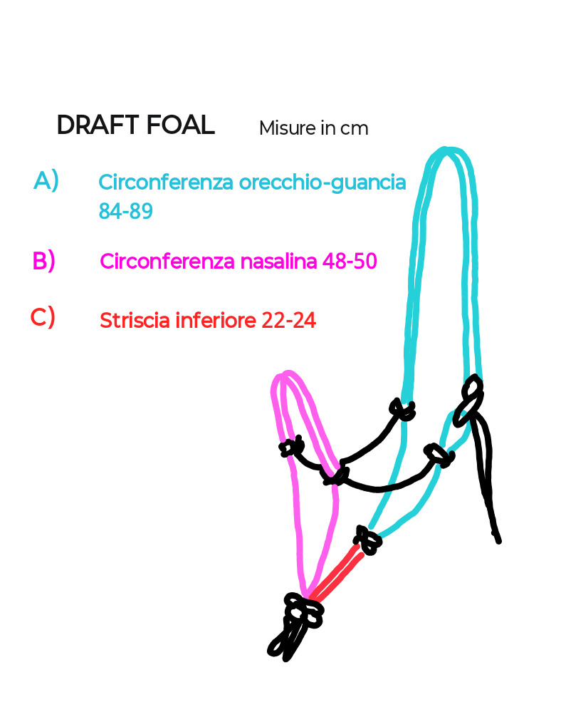 Capezza per puledri