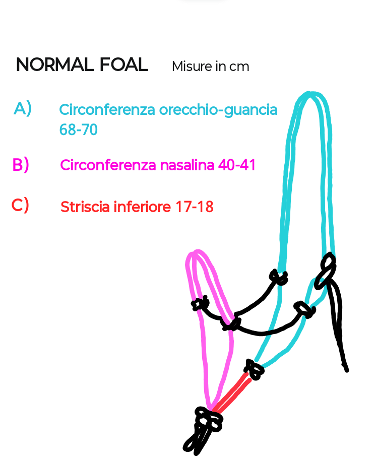 Capezza per puledri