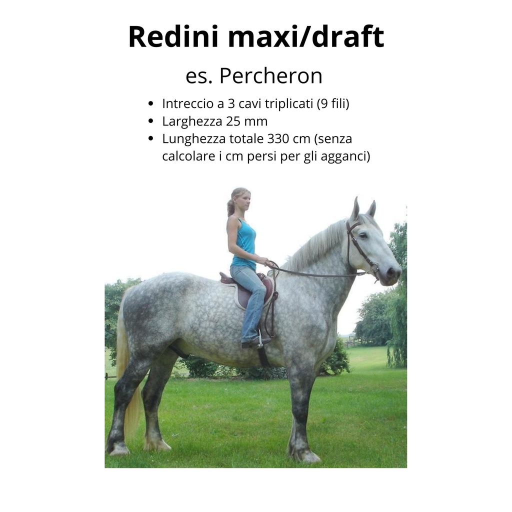 Redini in corda per monta inglese, intreccio a 3 cavi