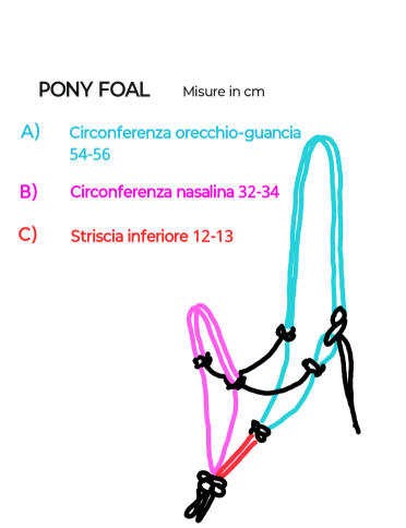 Capezza per puledri
